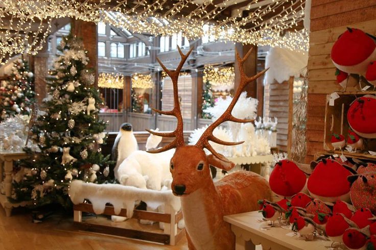 Lastminute Christmas tree London’s best shops for decorations – The