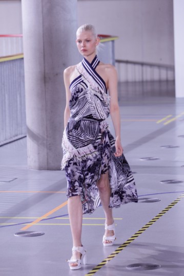 Bregazzidemmerda-Erol-Birsen-The-Upcoming-14