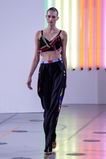 Bregazzidemmerda-Erol-Birsen-The-Upcoming-36