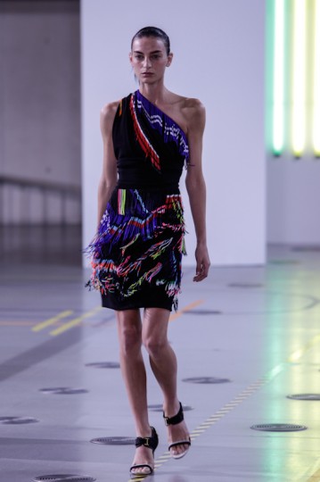 Bregazzidemmerda-Erol-Birsen-The-Upcoming-38