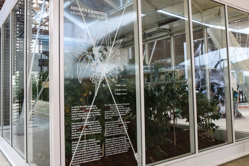 Expo 2015 - Milan- Filippo LAstorina - The Upcoming -14