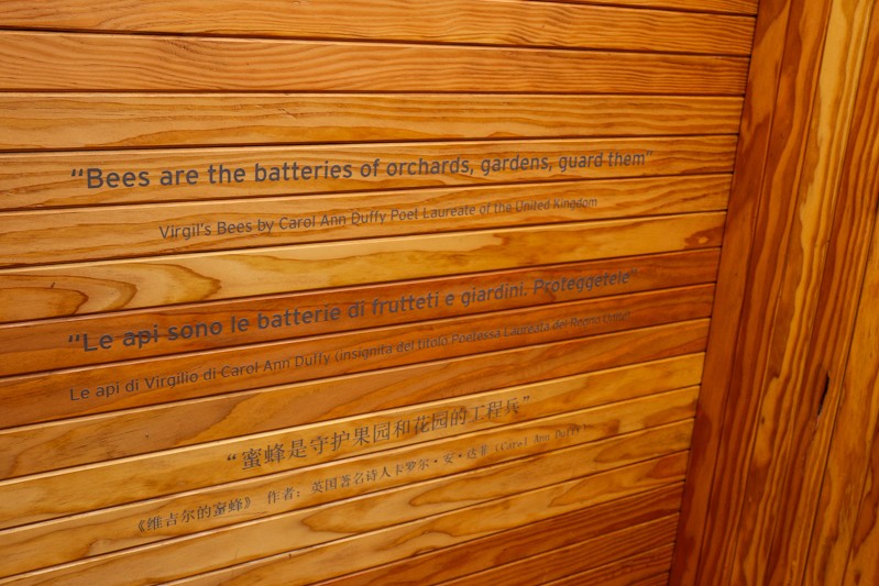 Expo 2015 - Milan- Filippo LAstorina - The Upcoming -28