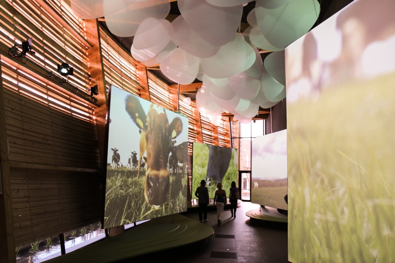 Expo 2015 - Milan- Filippo LAstorina - The Upcoming -3