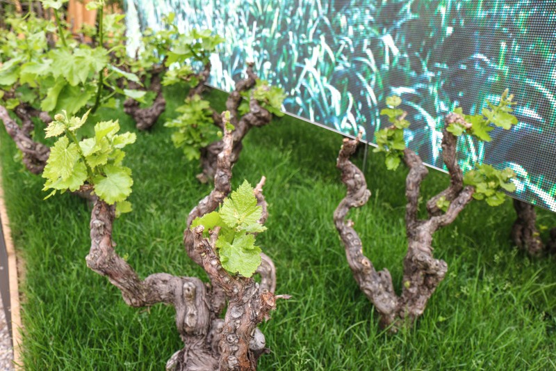 Expo 2015 - Milan- Filippo LAstorina - The Upcoming -51