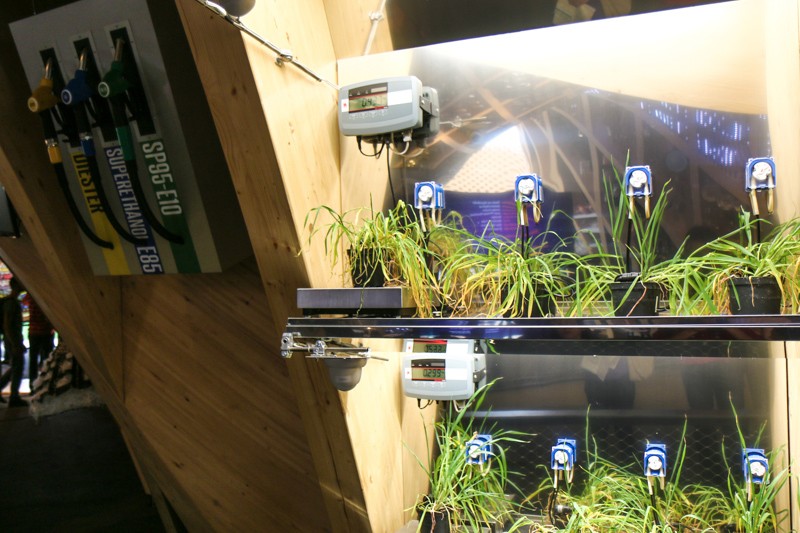 Expo 2015 - Milan- Filippo LAstorina - The Upcoming -55