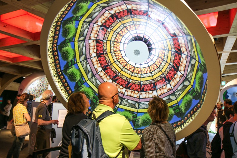 Expo 2015 - Milan- Filippo LAstorina - The Upcoming -56