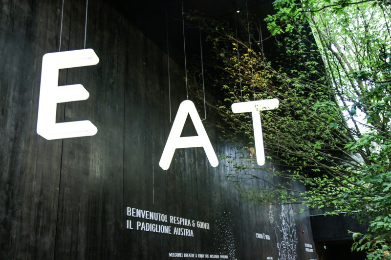 Expo 2015 - Milan- Filippo LAstorina - The Upcoming -71