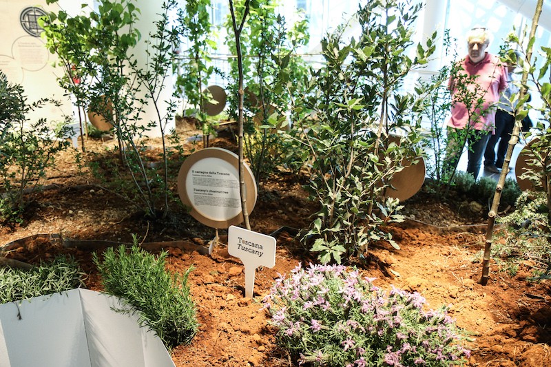 Expo 2015 - Milan- day 2 - Filippo LAstorina - The Upcoming -54