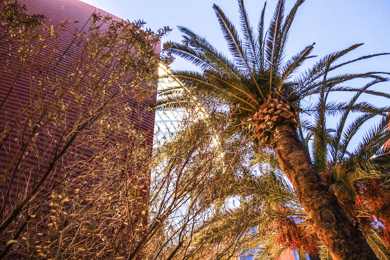 Expo 2015 - Milan- day 2 - Filippo LAstorina - The Upcoming -92