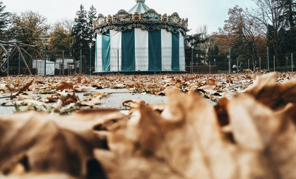 Circuses face wild animal ban in England