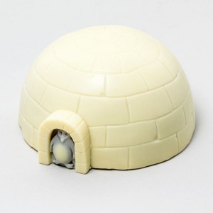 igloo