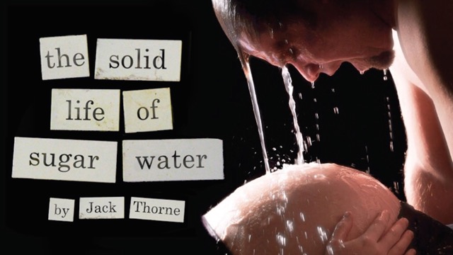 The Solid Life of Sugar Water