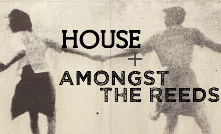 House / Amongst the Reeds