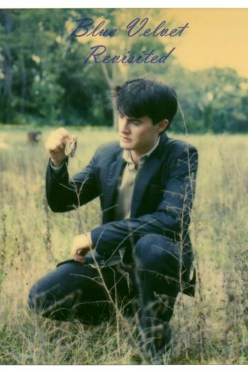 Blue Velvet Revisited