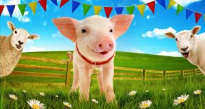 Babe, the Sheep-Pig