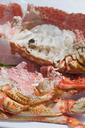Wolfgang Tillmans: 2017 at Tate Modern