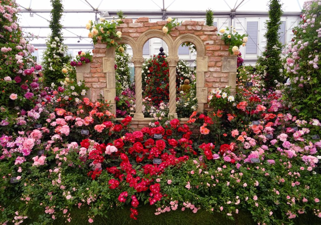 Chelsea Flower Show 2017 by Rebekah Absalom (2)