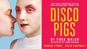 Disco Pigs