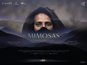 Mimosas