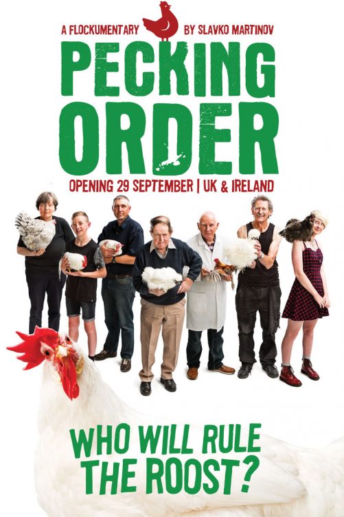 Pecking Order