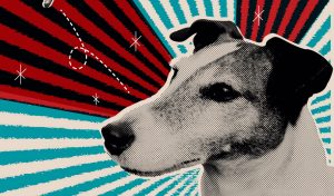 Laika
