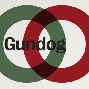 Gundog