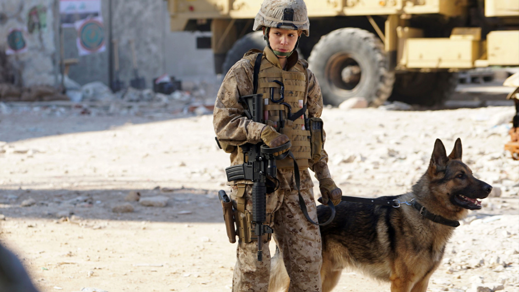 Rex | Movie review – The Upcoming