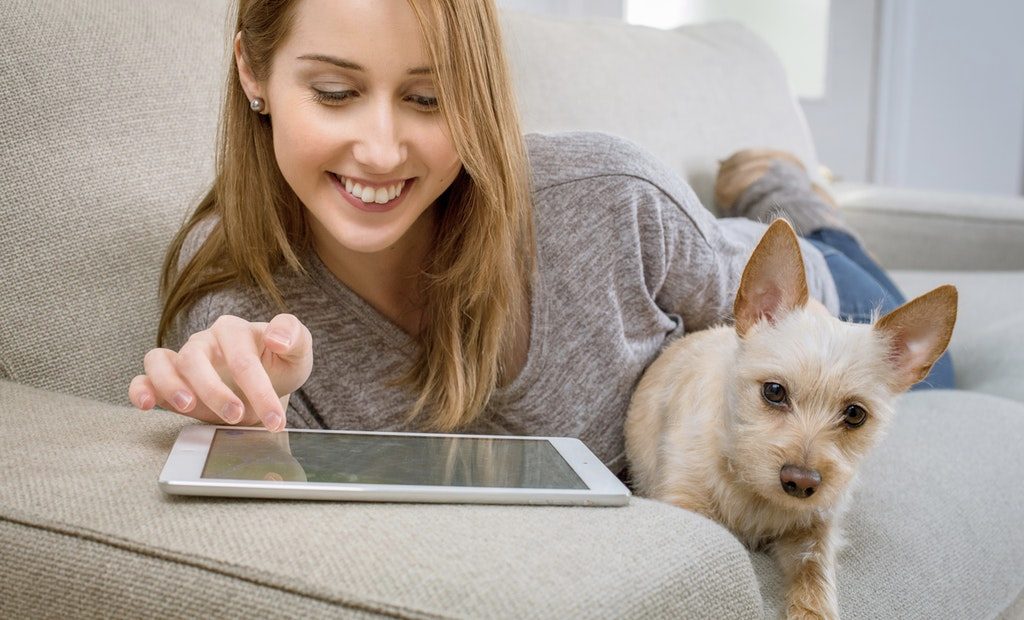 How social media influences the educational life of the users