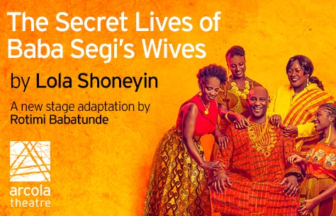 The Secret Lives of Baba Segi's Wives