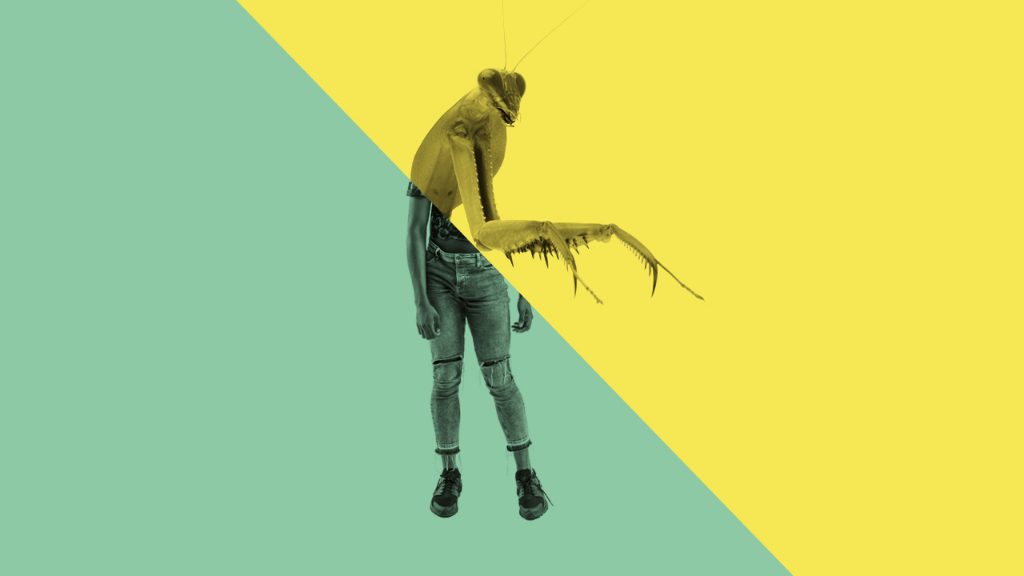 NT Connections: Sweetness of a Sting