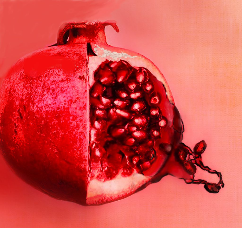 Pomegranate Season: A conversation with writer Victoria Cano and director Marylynne Anderson-Cooper