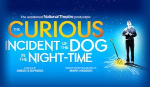 The Curious Incident of the Dog in the Night-Time