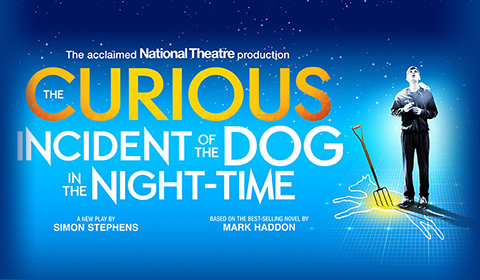 The Curious Incident of the Dog in the Night-Time