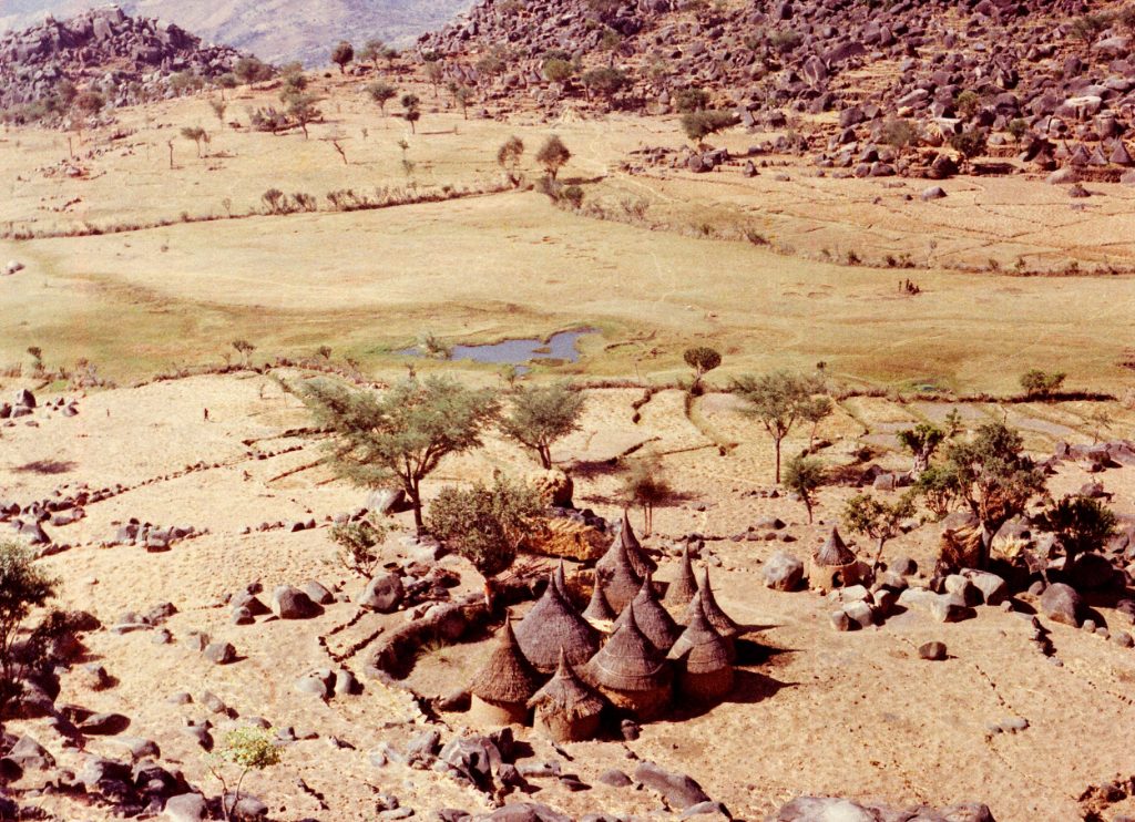 Berlin Film Festival 2019: African Mirror