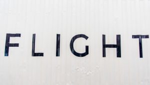 Flight