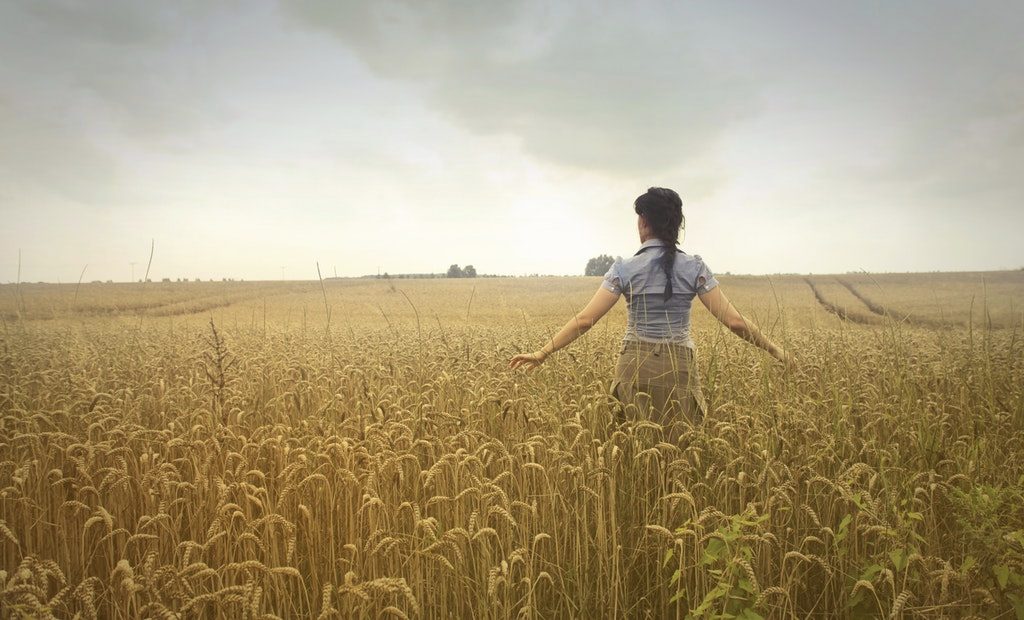 Is country culture spreading its roots in urban fields?