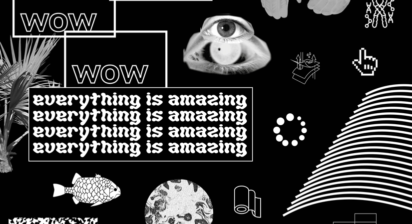 Wow Everything Is Amazing