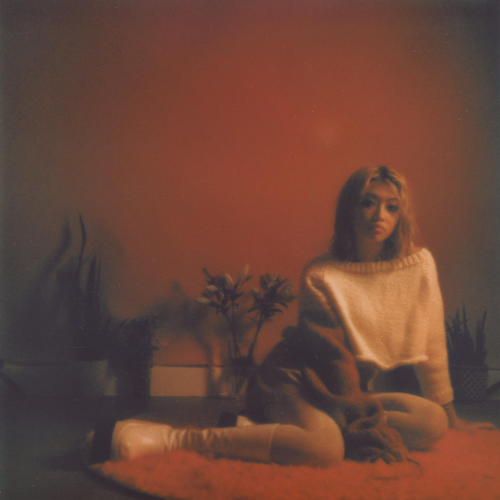 Beabadoobee – Fake It Flowers