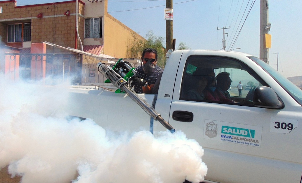 The importance of pest control: Staying on the safe side