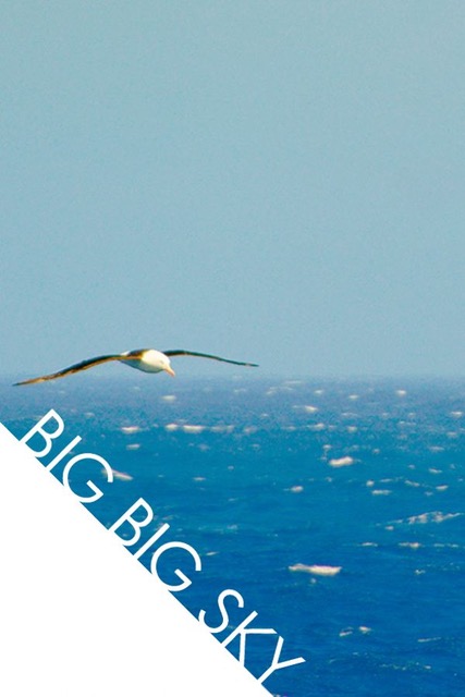 Big Big Sky