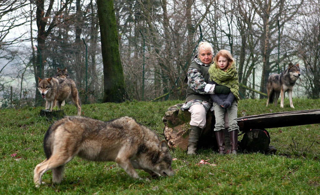 Misha and the Wolves