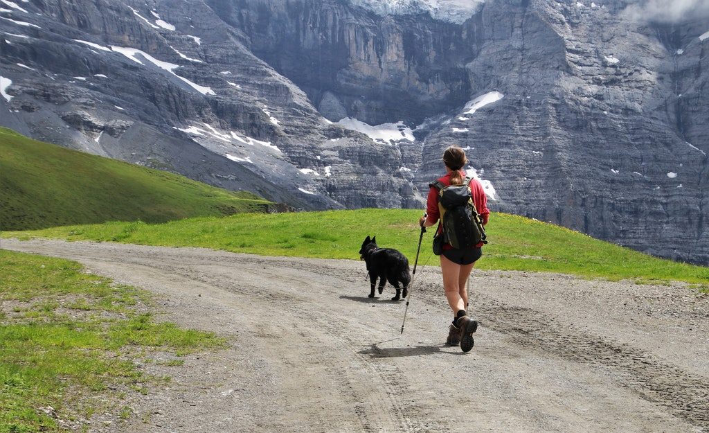 12 tips for mountain travel with the dog