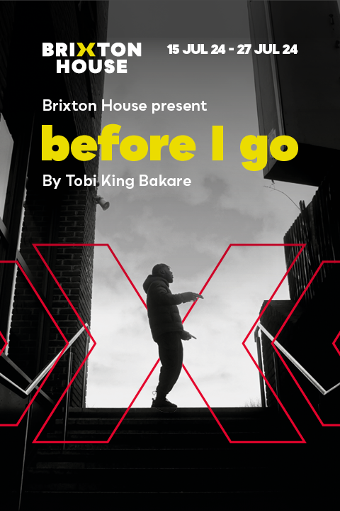 Housemate Returns: Before I Go