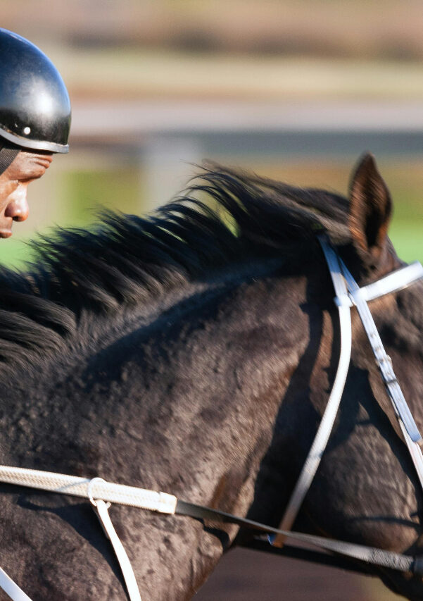 How technology is transforming horse racing: From data tracking to smarter gaming