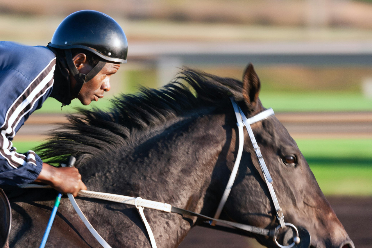 How technology is transforming horse racing: From data tracking to smarter gaming