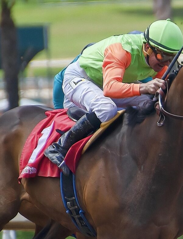 How technology is transforming horse racing: from data tracking to smarter interaction