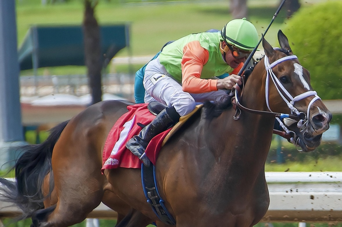 How technology is transforming horse racing: from data tracking to smarter interaction