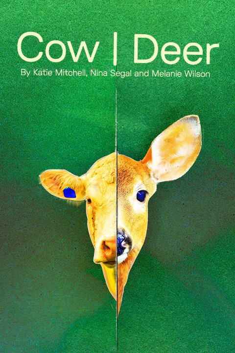 Cow | Deer