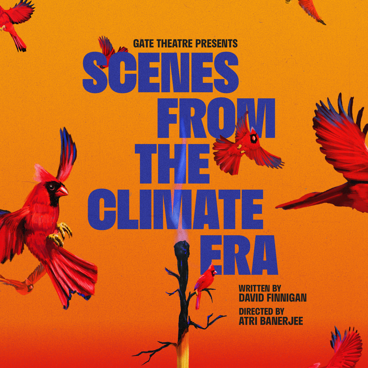 Scenes from the Climate Era