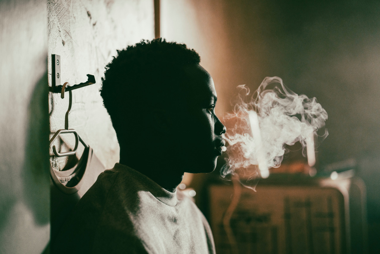 Berlin Film Festival 2026: Animol